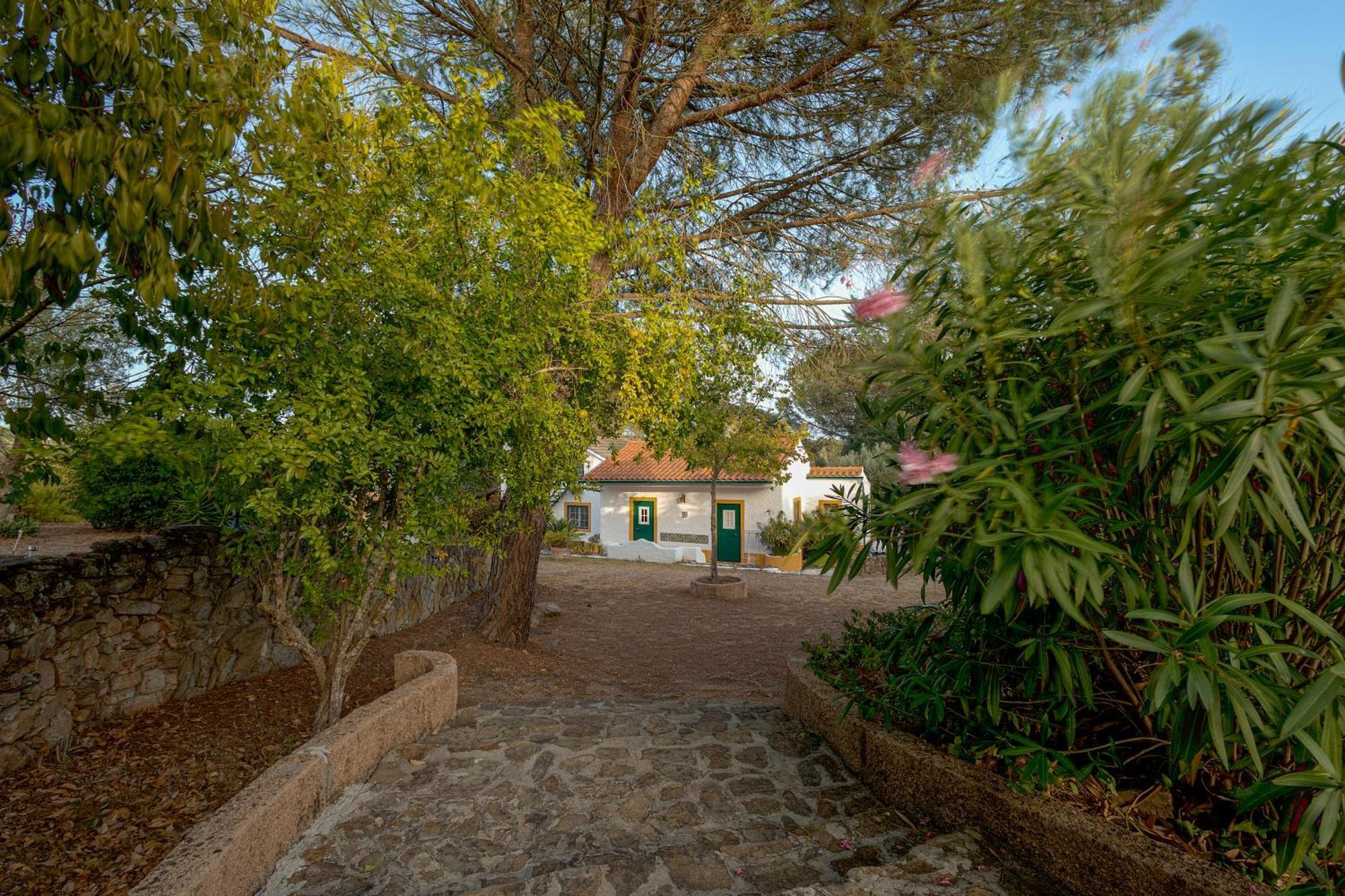 Sao Pedro de Tomar Casa Do Valeヴィラ エクステリア 写真