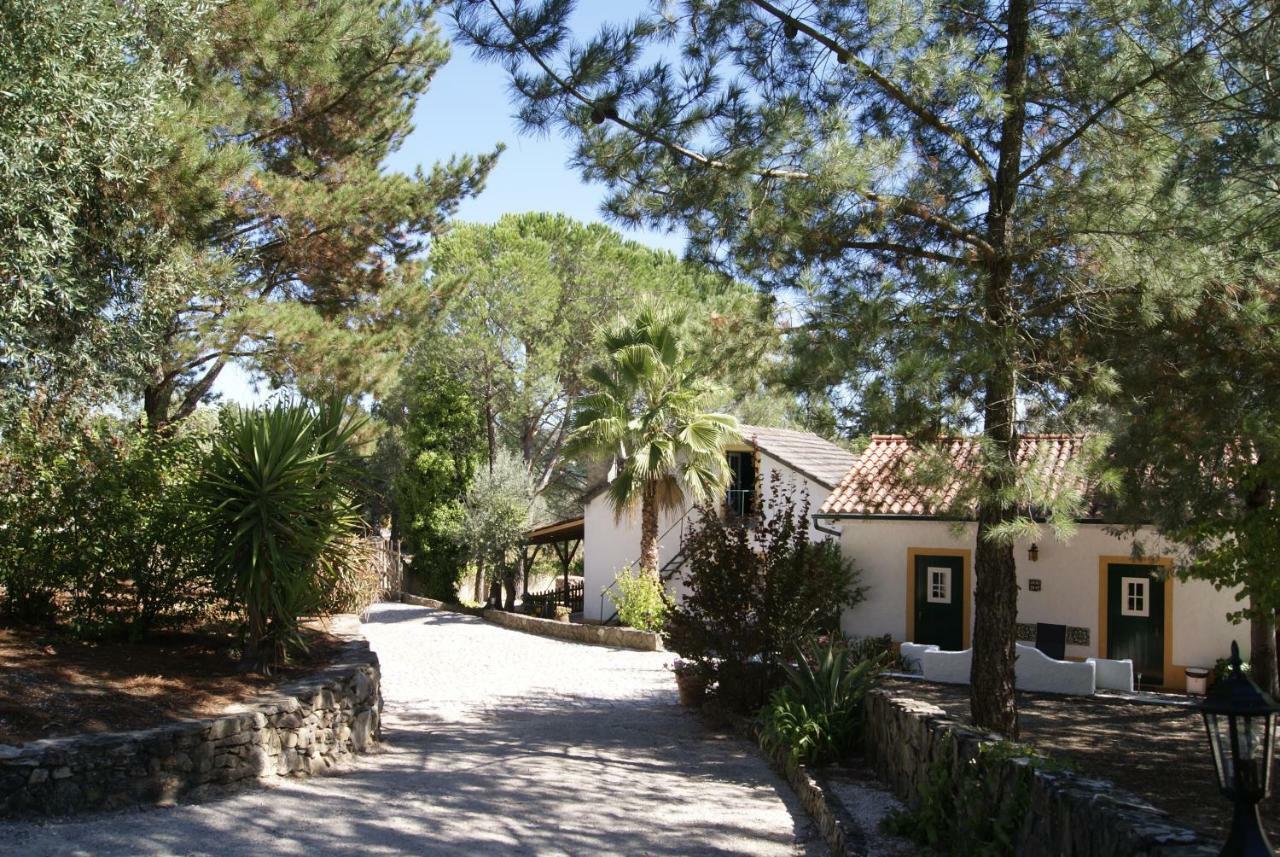 Sao Pedro de Tomar Casa Do Valeヴィラ エクステリア 写真