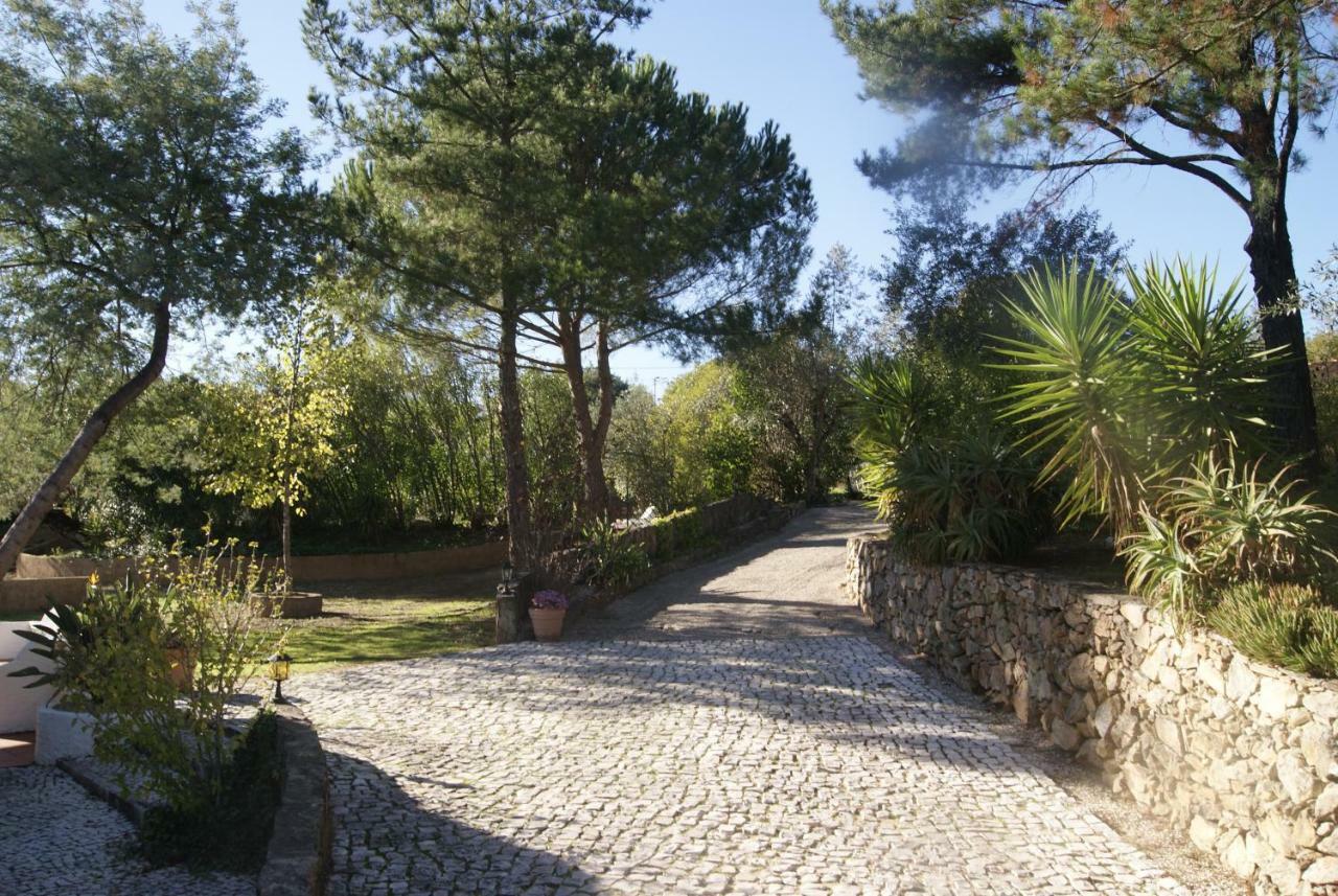 Sao Pedro de Tomar Casa Do Valeヴィラ エクステリア 写真