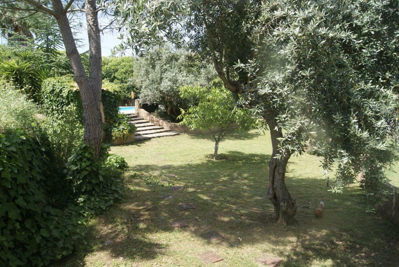 Sao Pedro de Tomar Casa Do Valeヴィラ エクステリア 写真