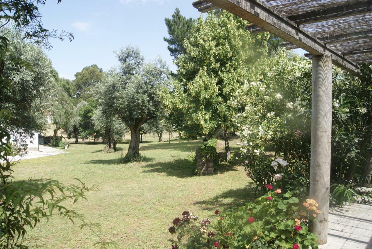 Sao Pedro de Tomar Casa Do Valeヴィラ エクステリア 写真