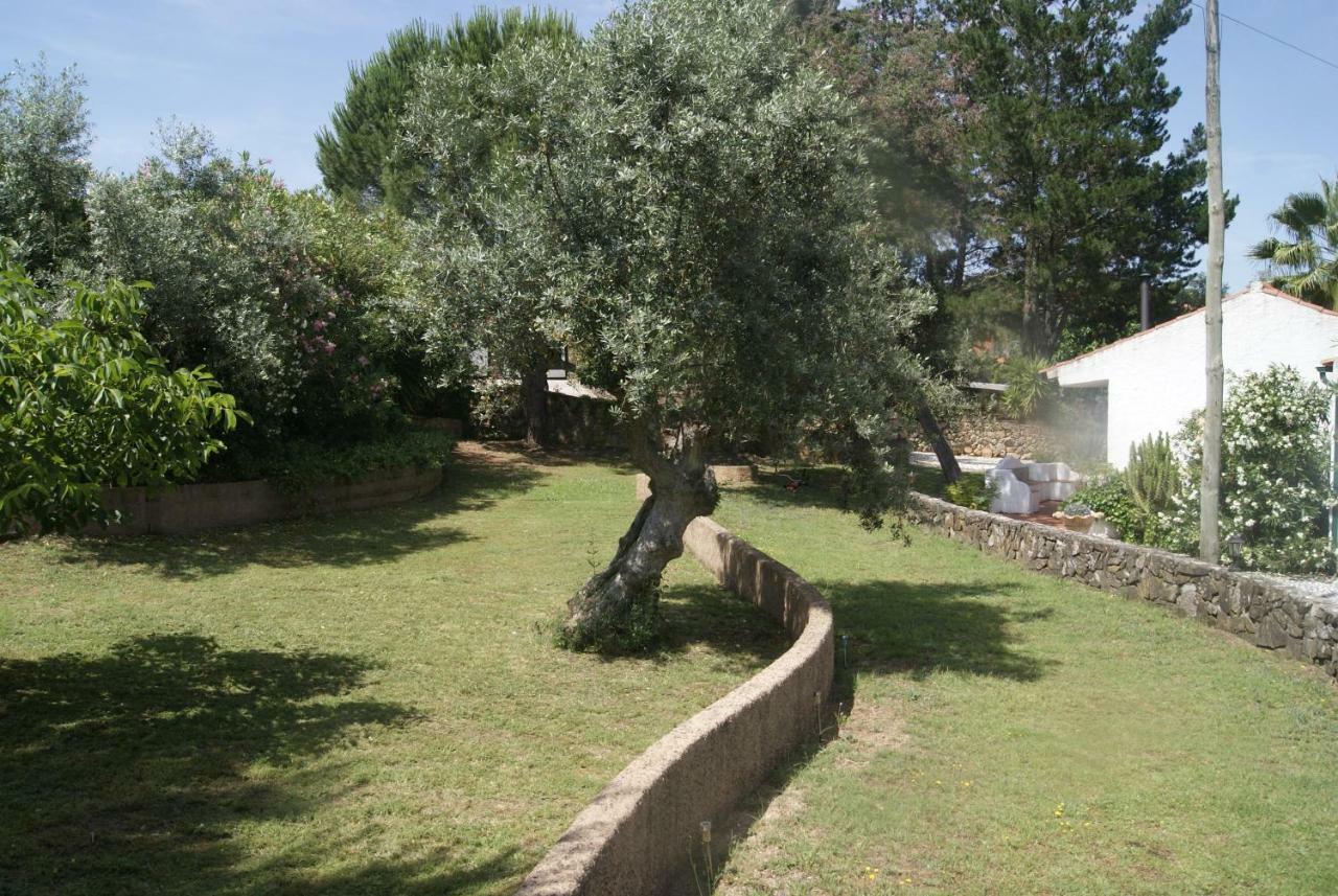Sao Pedro de Tomar Casa Do Valeヴィラ エクステリア 写真